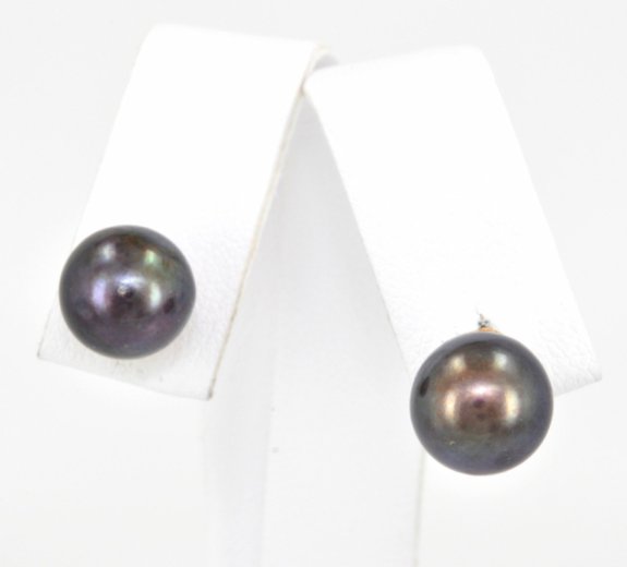  14K Yellow Gold Black Pearl Stud Earrings  42001860 | Shin Brothers* 