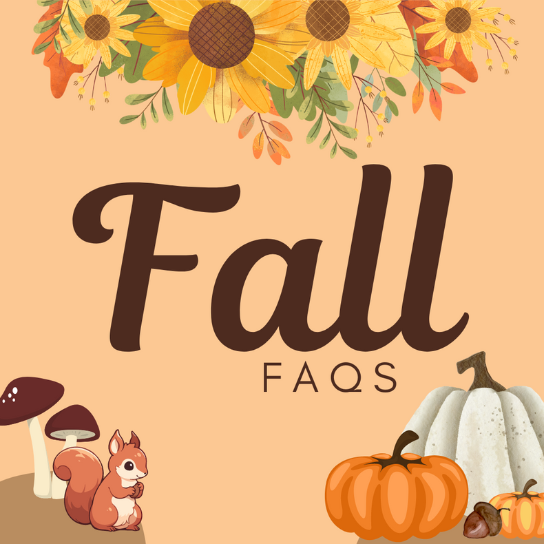 Fall Creemee FAQs