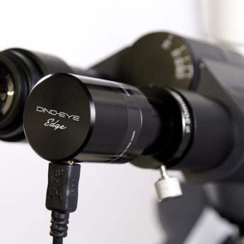 AM4025X: Eyepiece Camera - 1.3MP with Adapters