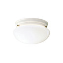 Utility Ceiling by Kichler ( 12 | 209WH Ceiling Space ) 