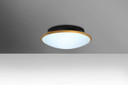 Flush Mounts Bowl Style by Besa ( 74 | SILK10GDC-LED Silk 10 ) 
