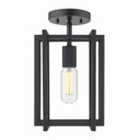Semi-Flush Mts. Cage by Golden ( 62 | 6070-1SF BLK-BLK Tribeca ) 