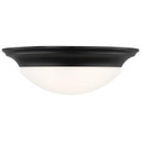 Flush Mounts Bowl Style by Generation Lighting ( 1 | 75436-112 Nash ) 