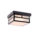 Exterior Ceiling Mount by Acclaim Lighting ( 106 | 4710BK Artisan ) 