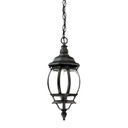 Exterior Hanging by Acclaim Lighting ( 106 | 5056BK Chateau ) 