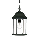 Exterior Hanging by Acclaim Lighting ( 106 | 5186BK Madison ) 