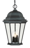 Exterior Hanging by Acclaim Lighting ( 106 | 5226BK Richmond ) 