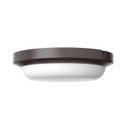 Exterior Ceiling Mount by AFX Lighting ( 162 | DEAW08LAJENBZ Dean ) 