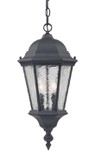Exterior Hanging by Acclaim Lighting ( 106 | 5516BK Telfair ) 