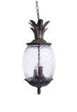 Exterior Hanging by Acclaim Lighting ( 106 | 7516BC Lanai ) 