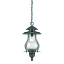 Exterior Hanging by Acclaim Lighting ( 106 | 8206BK Blue Ridge ) 