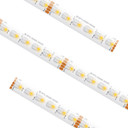 Specialty Items LED Tapes by American Lighting ( 303 | SPTL-RGBW Spec Grade Tape ) 