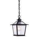 Exterior Hanging by Acclaim Lighting ( 106 | 9706BK Salem ) 