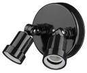 Exterior Spot Lights by Acclaim Lighting ( 106 | FL2BK Floodlights ) 