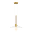 Pendants Glass Down by Designers Fountain ( 43 | D294M-14P-BG Litto ) 