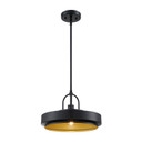 Pendants Metal Shade by Designers Fountain ( 43 | D295M-14P-MB Odea ) 