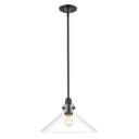 Pendants Glass Down by Acclaim Lighting ( 106 | IN20080BK Dwyer ) 