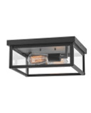 Flush Mounts Cage Style by Hinkley ( 13 | 12193BK Beckham ) 