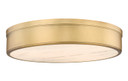 Flush Mounts Slimline/Low Profile by Z-Lite ( 224 | 1944F22-RB-LED Anders ) 