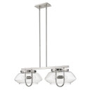Linear/Island 4 Light + by Acclaim Lighting ( 106 | TP20060SN Garner ) 