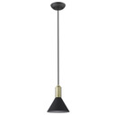 Mini Pendants Cable by Acclaim Lighting ( 106 | TP30101BK Ingo ) 