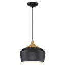 Pendants Metal Shade by Access ( 18 | 52057LEDDLP-BL/WGN Blend ) 