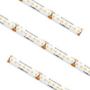 Specialty Items LED Tapes by American Lighting ( 303 | HTLHD65-CW-16 High Density Tape ) 