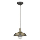 Exterior Hanging by Acclaim Lighting ( 106 | 1736ATB Burry ) 