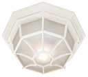 Exterior Ceiling Mount by Acclaim Lighting ( 106 | 2002TW Flushmounts ) 