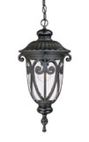 Exterior Hanging by Acclaim Lighting ( 106 | 2116BK Naples ) 