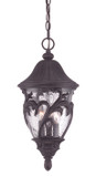Exterior Hanging by Acclaim Lighting ( 106 | 39216BC Capri ) 