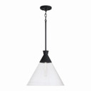Pendants Glass Down by Capital Lighting ( 65 | 350311XK Paloma ) 