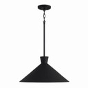 Pendants Metal Shade by Capital Lighting ( 65 | 350312XK Paloma ) 