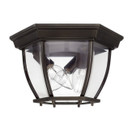 Exterior Ceiling Mount by Capital Lighting ( 65 | 9802BK Outdoor ) 
