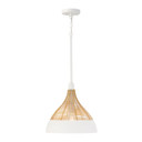 Pendants Other by Capital Lighting ( 65 | 353911WE Kali ) 