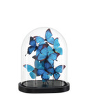 Home Accents Statues/Sculptures by Currey and Company ( 142 | 1200-0896 Rue de Bac Collection ) 