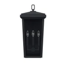 Exterior Wall Mt./Flush by Capital Lighting ( 65 | 926232BK Donnelly ) 
