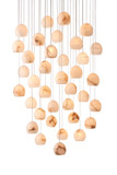 Large Chandeliers Glass Shade by Currey and Company ( 142 | 9000-0901 Lazio Collection ) 