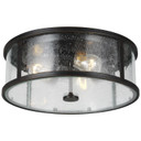 Exterior Ceiling Mount by Generation Lighting ( 1 | OL7633ES Dakota ) 