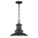 Exterior Hanging by Generation Lighting ( 1 | OL8904TXB Redding Station ) 