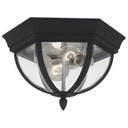 Exterior Ceiling Mount by Generation Lighting ( 1 | 78136-12 Wynfield ) 