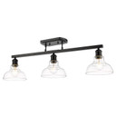 Semi-Flush Mts. Rail Kits by Golden ( 62 | 0305-3SF BLK-CLR Carver ) 