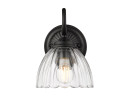 Sconces Single Glass by Golden ( 62 | 6952-1W BLK-CLR Audra ) 
