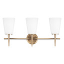 Bathroom Fixtures Three Lights by Generation Lighting ( 1 | 4440403-848 Driscoll ) 