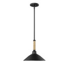 Pendants Metal Shade by Golden ( 62 | 3318-M NB Journey ) 