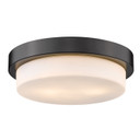 Flush Mounts Bowl Style by Golden ( 62 | 1270-13 BLK Multi-Family ) 