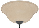 Shades Misc. Glass by Hunter ( 47 | 99160 Glass ) 