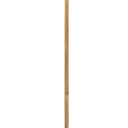 Specialty Items Fixture Accents/Parts by Hinkley ( 13 | 6030BNG Stem ) 