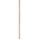 Specialty Items Fixture Accents/Parts by Hinkley ( 13 | 6037HB Stem ) 