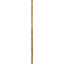 Specialty Items Fixture Accents/Parts by Hinkley ( 13 | 6067HB Stem ) 